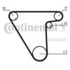 CONTITECH CT833 Timing Belt
